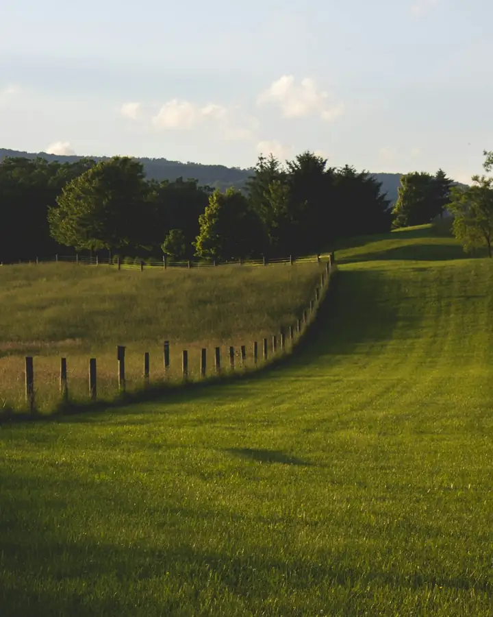 Green pasture with a wooden fence and trees under a clear sky
